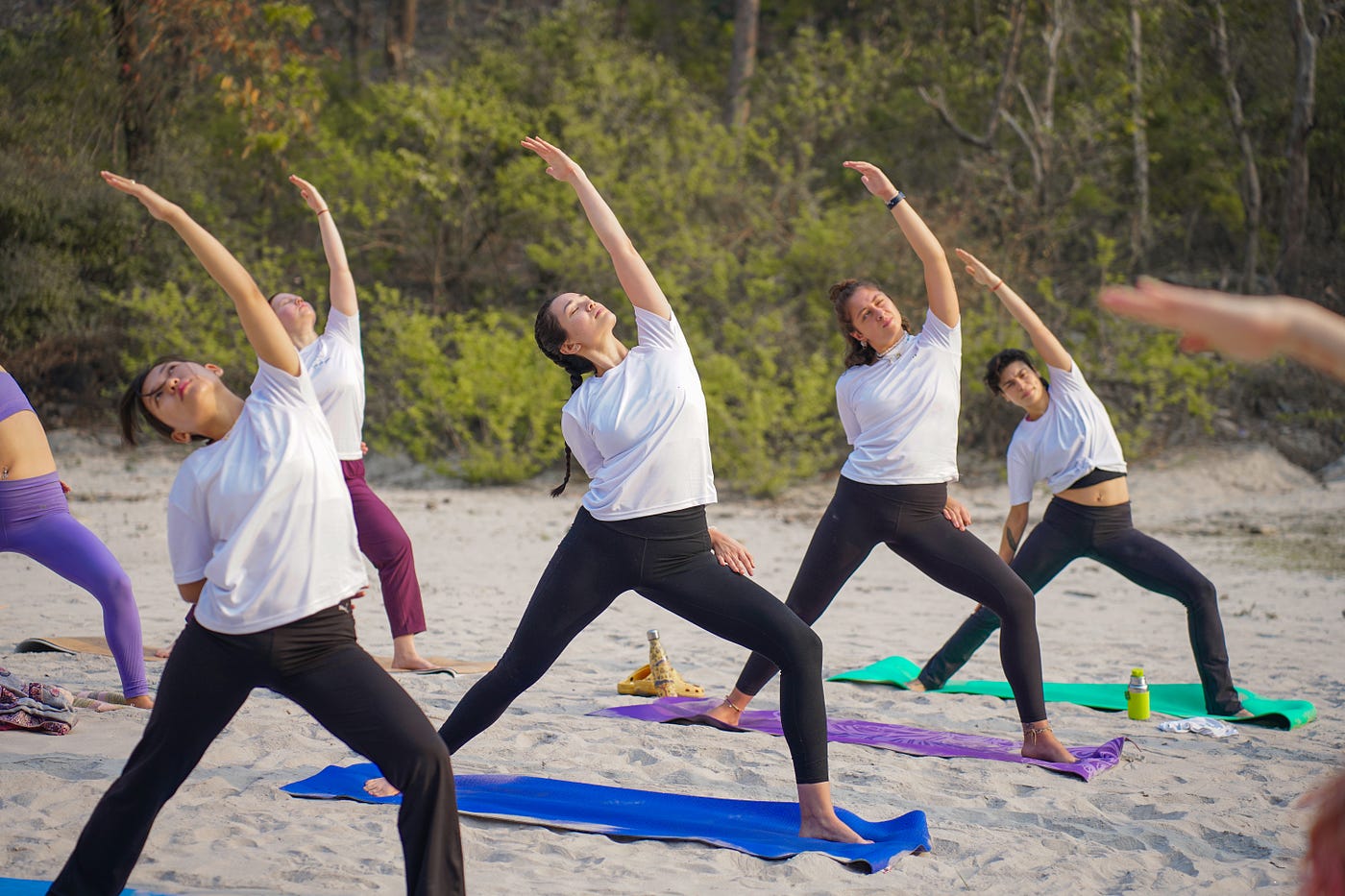 Rishikesh Serenity: 300 Hour Yoga Teacher Training Program
